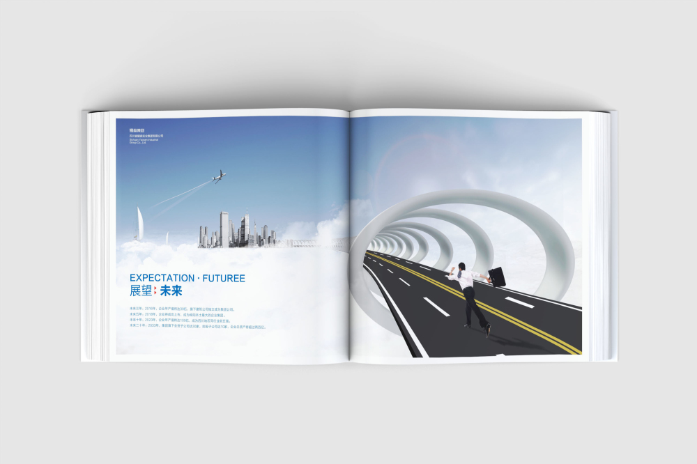 双辽市画册设计